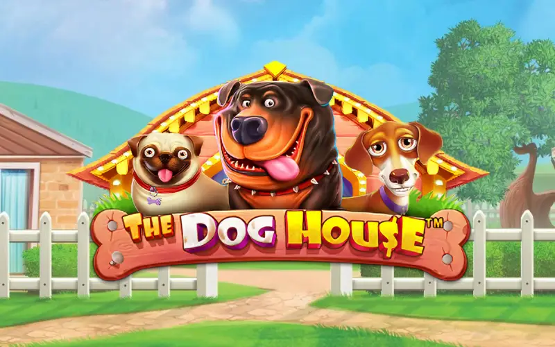 Divirta-se com os multiplicadores de The Dog House no Hiperbet main.